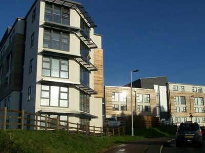 8 Bedroom Apartment Plymouth Devon