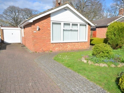 Bungalow to rent in Darenth Rise, Chatham ME5