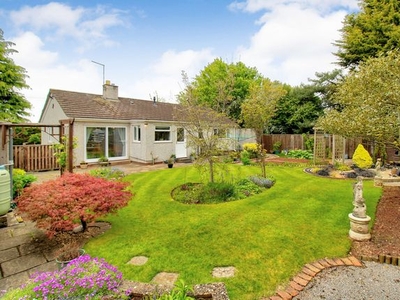 Detached bungalow for sale in Old Gloucester Road, Bristol BS16