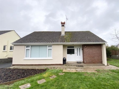 Detached bungalow to rent in Ashleigh Close, Torquay TQ2