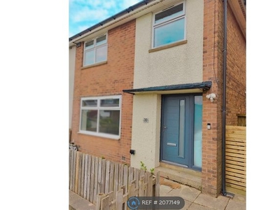 Semi-detached house to rent in Brow Wood Road, Shelf, Halifax HX3