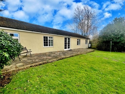 Bungalow to rent in Easthampnett Lane, Easthampnett, Chichester, West Sussex PO18