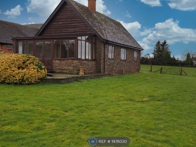 Bungalow to rent in Newton, Leominster HR6