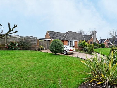 Detached bungalow for sale in Chestnut Drive, Berry Hill, Mansfield NG18