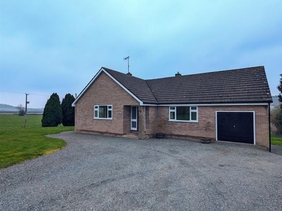 Detached bungalow to rent in Abbeydore, Hereford HR2