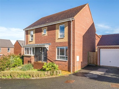 Detached house for sale in Crook Copse, Exeter EX1