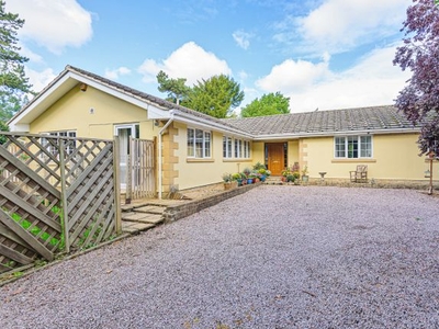 Detached bungalow for sale in Old Lincoln Road, Caythorpe, Lincolshire NG32