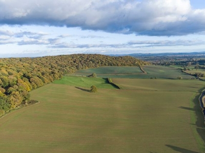 Land for sale in Brinsop, Hereford, Herefordshire HR4