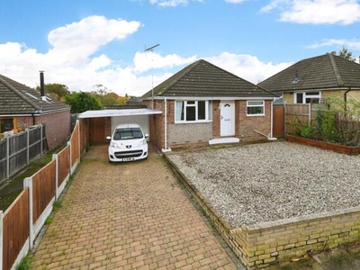 2 Bedroom Detached Bungalow For Sale In Colchester