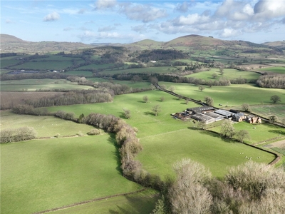 250.81 acres, Snead, Montgomery, Shropshire, SY15, Mid Wales