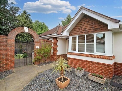 3 Bedroom Bungalow For Sale In Ringwood, Hampshire