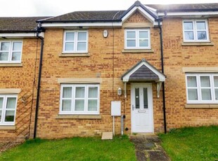 3 Bedroom Terraced House For Sale In Shotton Colliery