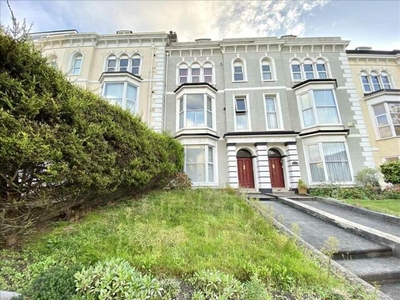 1 Bedroom Apartment For Rent In Plymouth