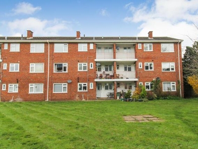 2 Bedroom Shared Living/roommate Surrey Hampshire