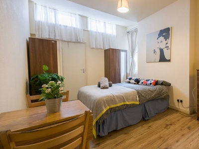 Stylish studio apartment to rent in Willesden Green