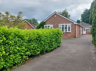Bungalow for sale in Blandford Road, Wimborne BH21