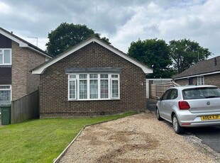 Bungalow to rent in Collington Park Crescent, Bexhill-On-Sea TN39