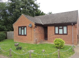 Detached bungalow to rent in Richmond Road, Downham Market PE38