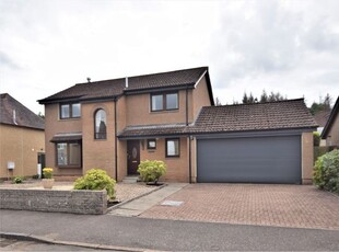 Detached house to rent in Forbes Road, Falkirk, Stirling FK1