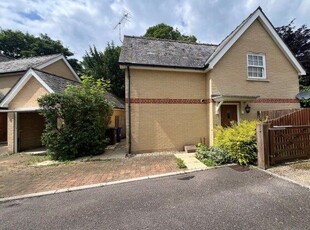 Detached house to rent in Mill Park Gardens, Bury St. Edmunds IP28