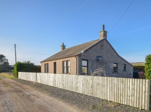 Detached house to rent in West Denside Farm, Monikie, Dundee DD5