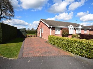 Semi-detached bungalow to rent in Trentham Road, Wem, Shropshire SY4