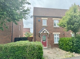 Semi-detached house to rent in Meadowsweet Lane, Stockton-On-Tees TS19