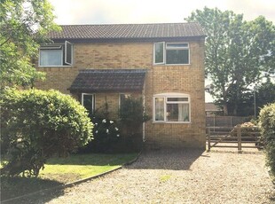 Semi-detached house to rent in St James, Beaminster, Dorset DT8
