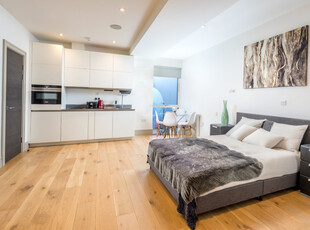 Studio flat for rent in Lawrence Road, London, N15
