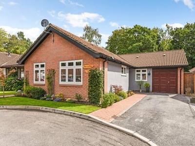 3 Bedroom Detached Bungalow For Sale In Ashurst, Southampton