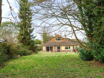 3 Bedroom Bungalow For Sale In Alresford, Hampshire