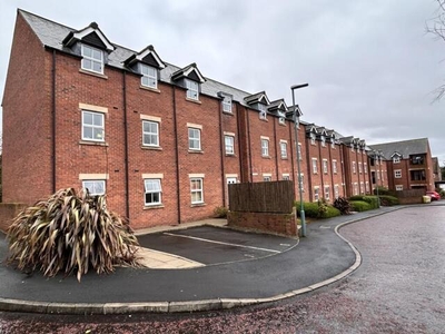 2 Bedroom Shared Living/roommate Durham County Durham
