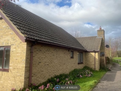Bungalow to rent in Curlew Crescent, Royston SG8