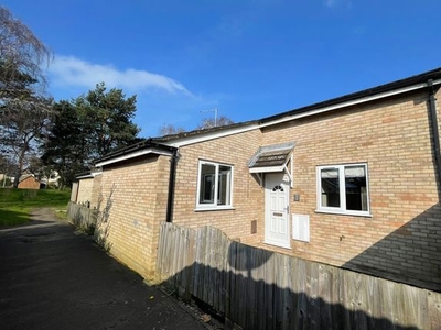 Detached bungalow to rent in Coopers Road, Ipswich IP5