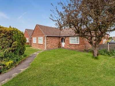 Detached bungalow to rent in Cotman Road, Colchester CO3