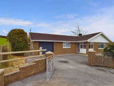 Detached bungalow to rent in Llysonnen Road, Carmarthen SA33