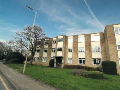 Flat to rent in Thorndon Court, Eagle Way CM13