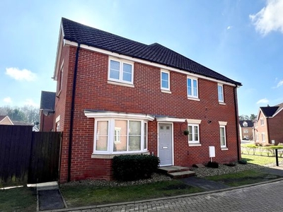 Semi-detached house to rent in Cypress Close, Mildenhall, Bury St. Edmunds IP28