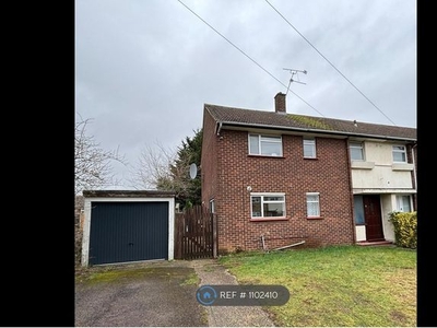 Semi-detached house to rent in Hilary Close, Chelmsford CM1