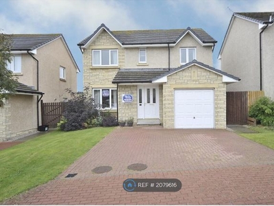 Detached house to rent in Brockwood Place, Blackburn, Aberdeen AB21