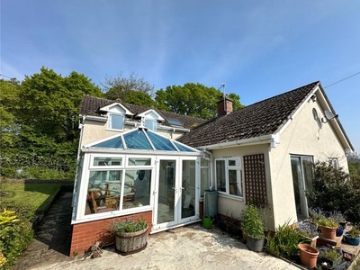 Detached house to rent in Old Taunton Road, Dalwood, Axminster, East Devon EX13