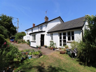 Detached house to rent in Shebbear, Beaworthy EX21