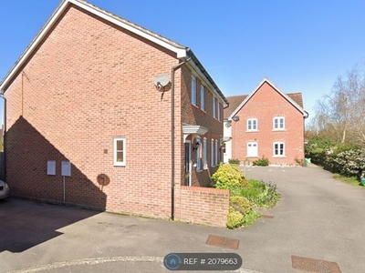 Semi-detached house to rent in Reading, Reading RG2