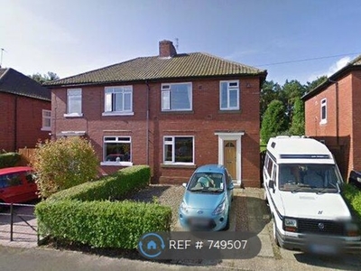 Semi-detached house to rent in The Villas, Stannington, Morpeth NE61