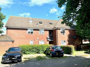 1 bedroom apartment for rent in Shirley, Southampton, SO16