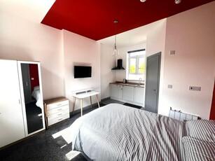 Studio flat for rent in Uttoxeter New Road, Derby, DE22