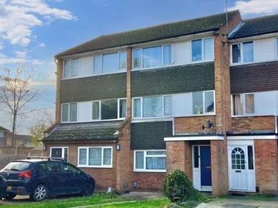 4 Bedroom Terraced House For Rent In Colchester, Essex