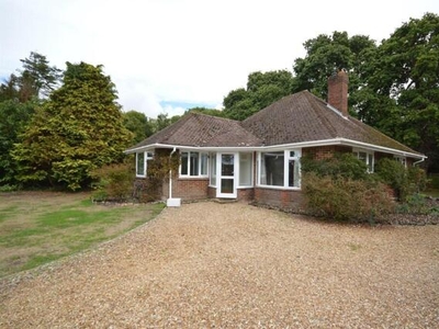 4 Bedroom Detached Bungalow For Rent In Fishbourne, Chichester