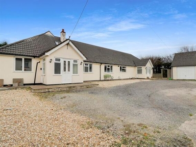 6 Bedroom Detached Bungalow For Sale In Torrington, Devon