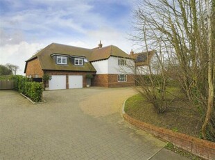 5 Bedroom Detached House For Sale In The Street